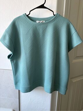 Textured Short-Sleeve Sweatshirt Top in Aqua